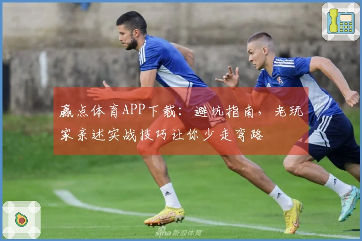赢点体育APP下载：避坑指南，老玩家亲述实战技巧让你少走弯路
